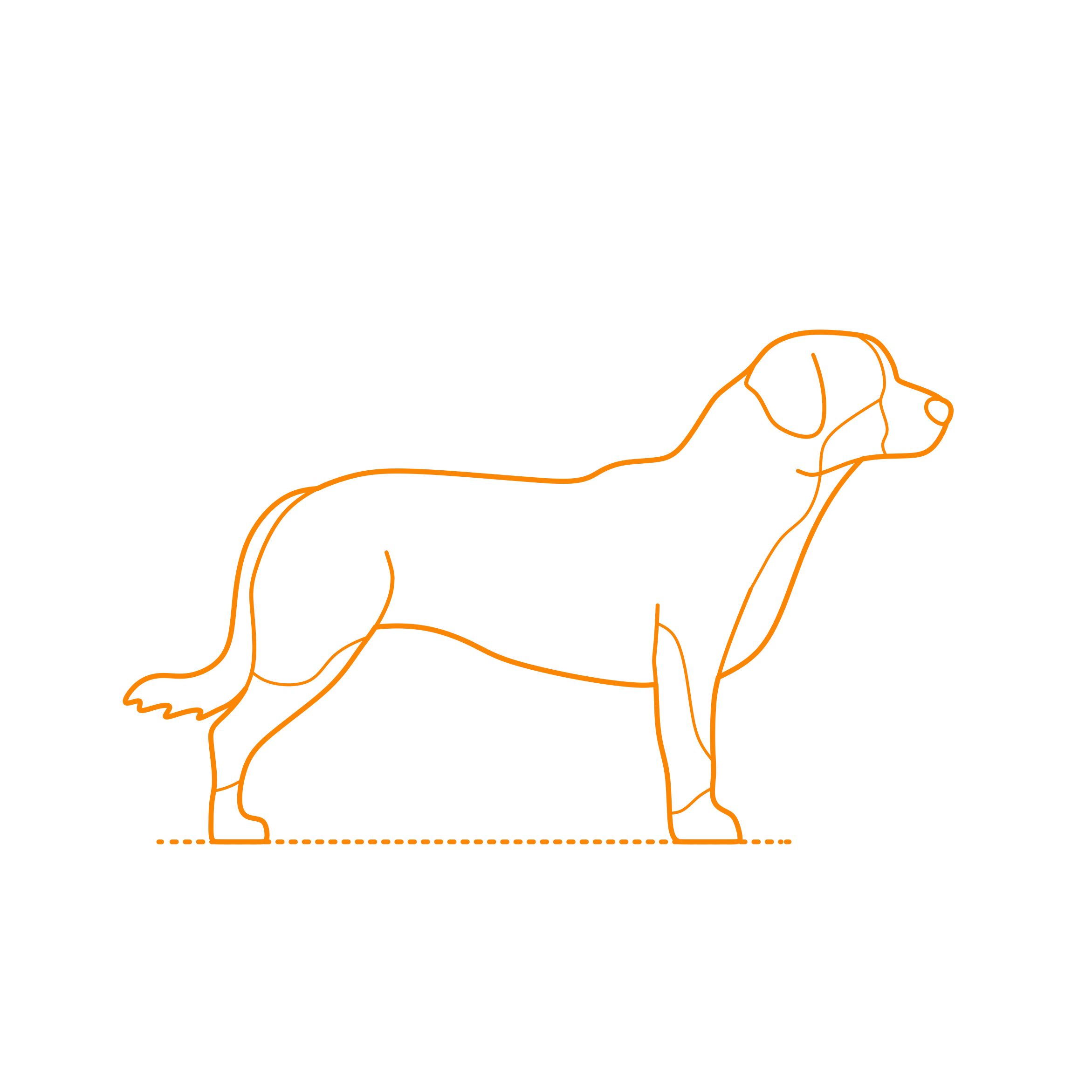 Animals Dogs Entlebucher Mountain Dog Svg Line Art Free Vectors